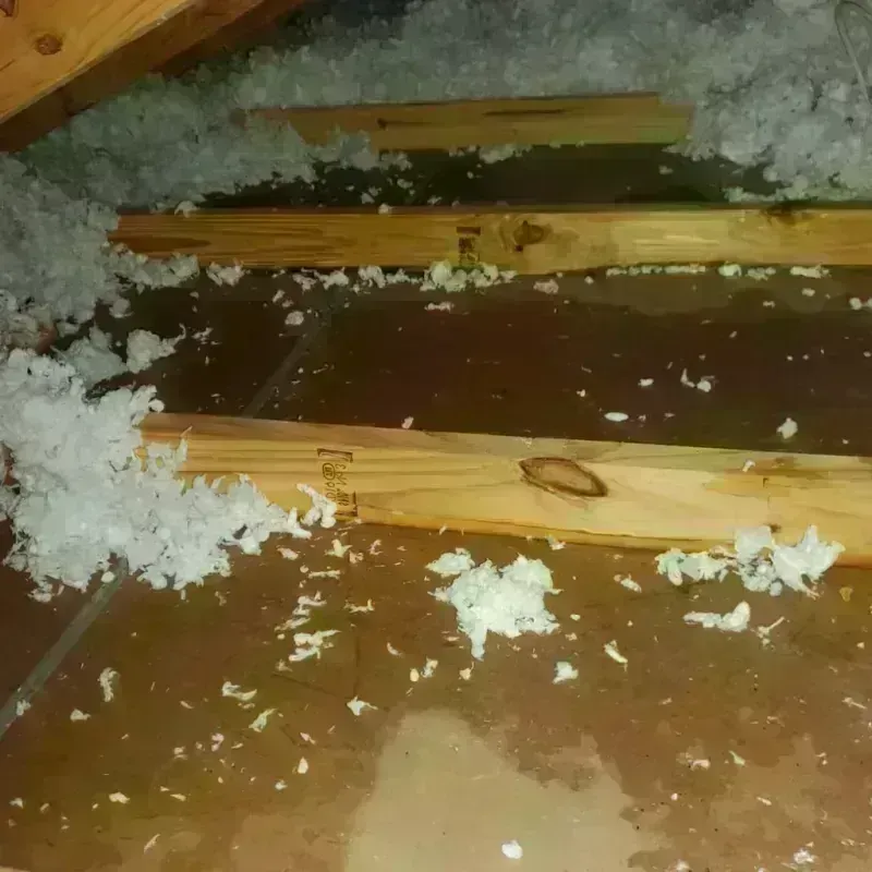 Attic Water Damage in Rib Mountain, WI