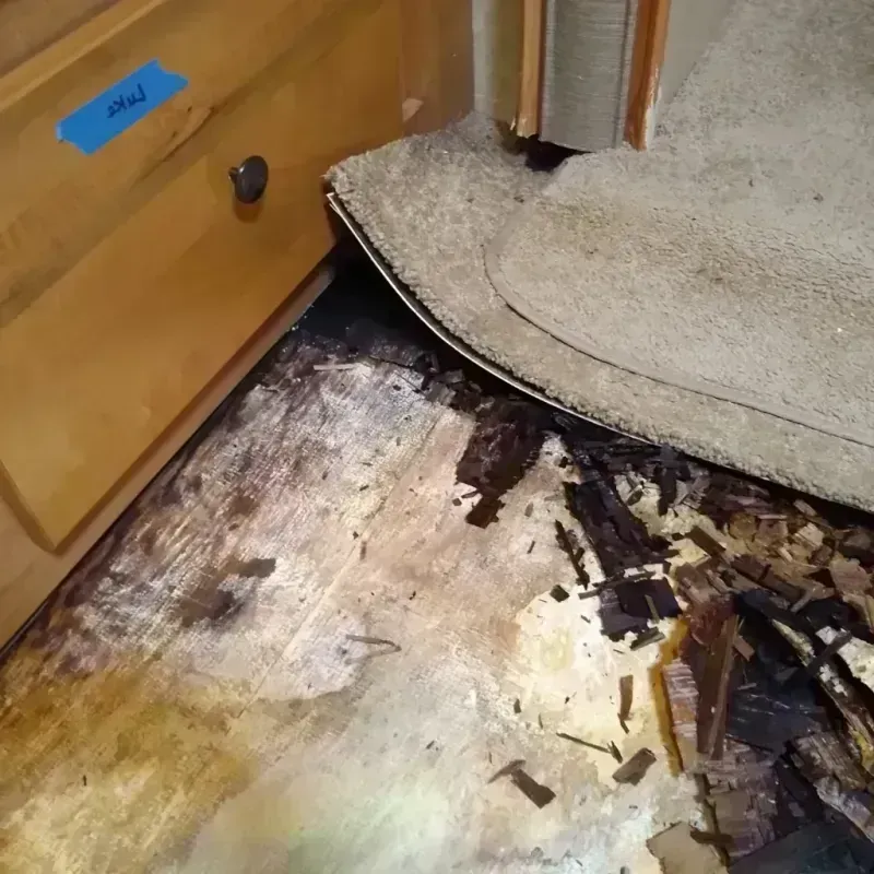 Wood Floor Water Damage in Rib Mountain, WI